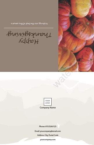 Occasion-Thanksgiving-Holiday Card-Pumpkin-Brown