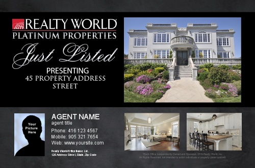 Realty World Platinum Postcards 5.5x 8.5