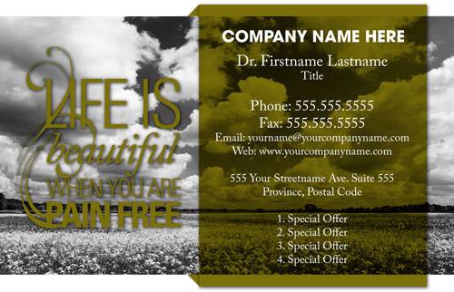 Chiropractor pain free