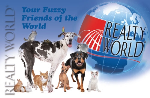 Realty World - Fury Pets