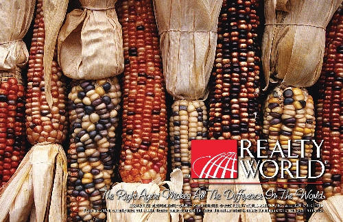 Realty World - RE.DM.HOL012