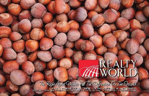 Realty World - RE.DM.HOL07