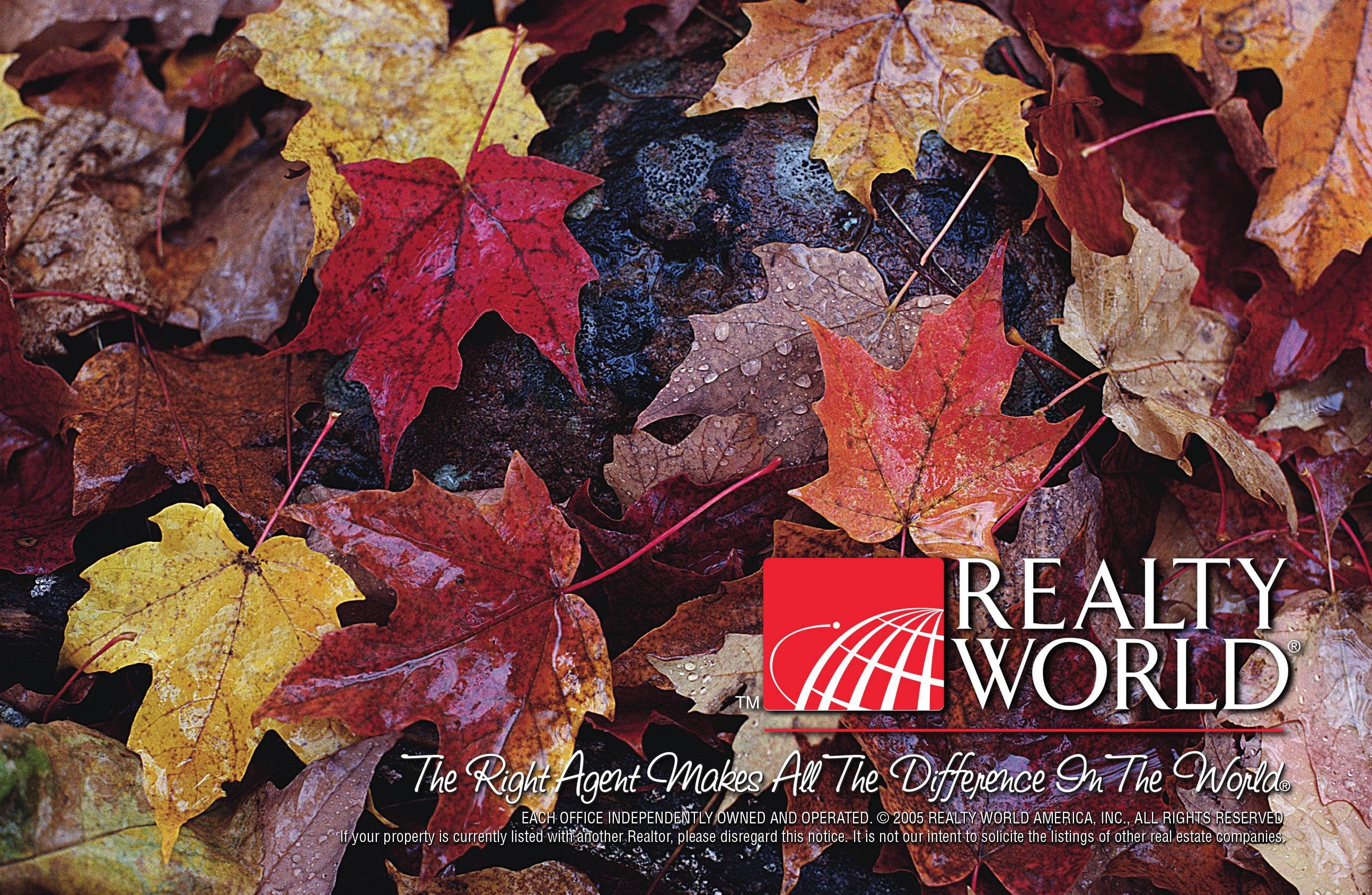 Realty World - RW.DM.HOL11